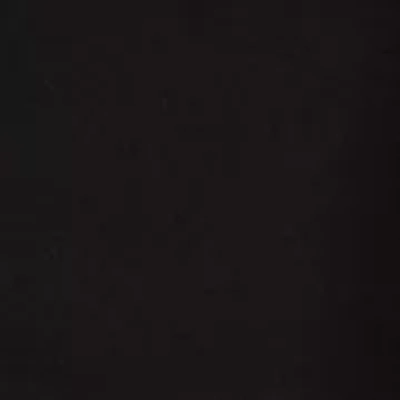 Petite Sailor Wide Leg Trousers