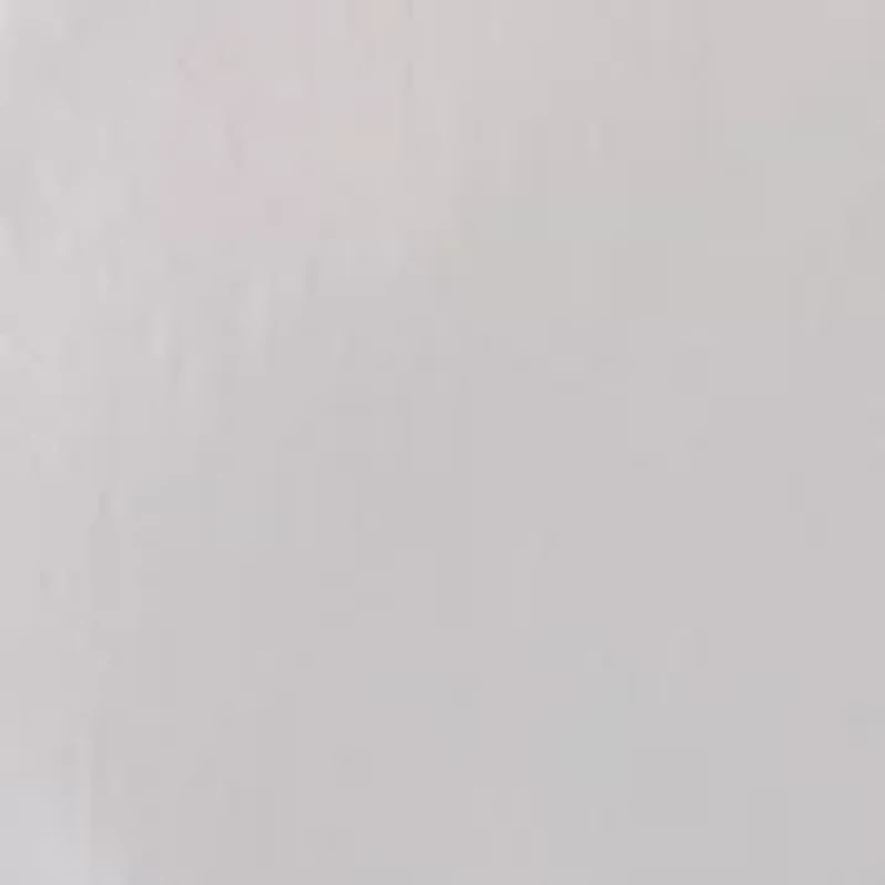 Petite Notch Collar Poplin Shirt