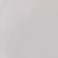 Petite Notch Collar Poplin Shirt