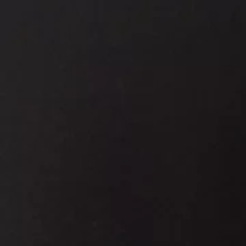 Petite Button Front Shirt