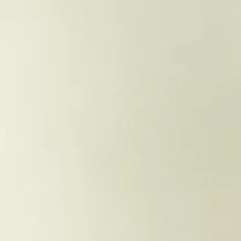 Women's Button Front Blouse