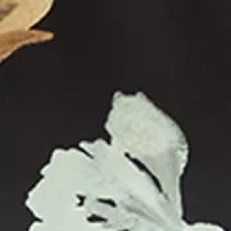 Petite Boat Neck Print Blouse