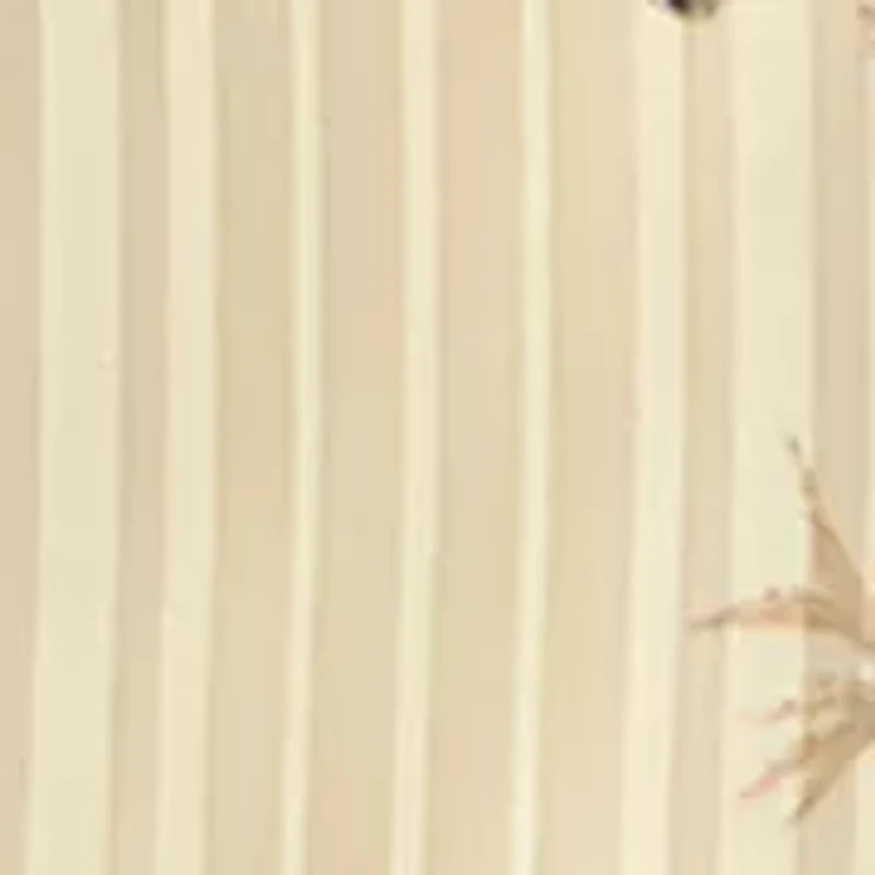 Plus V-Neck Ruffle Sleeve Top