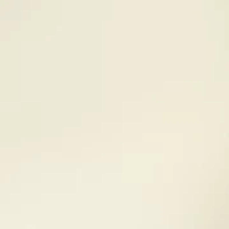 Women's Pull On Wide Leg Pants with Pockets