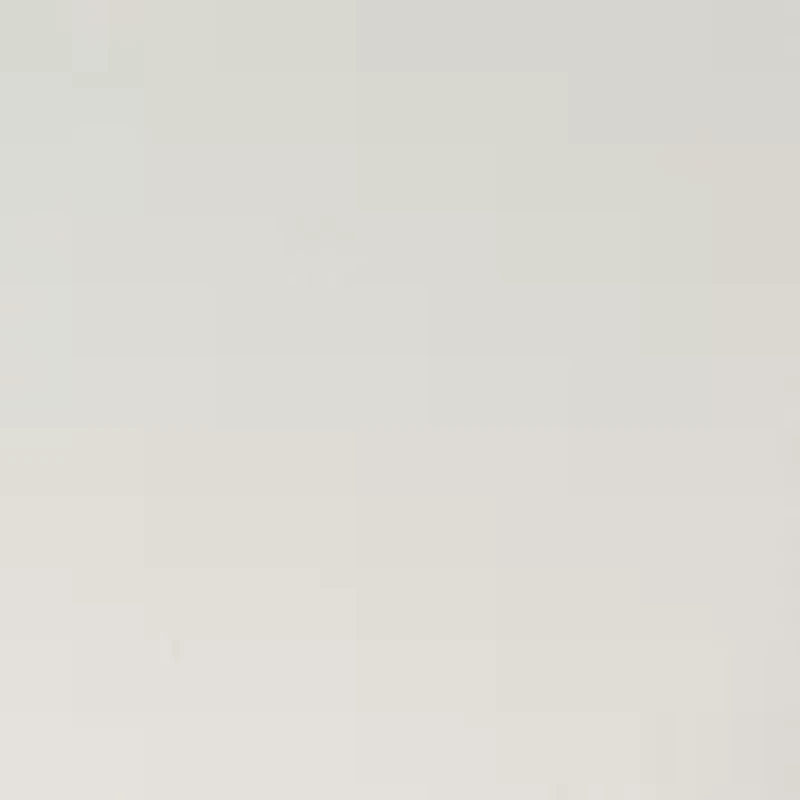 Women's Pull On Wide Leg Pants