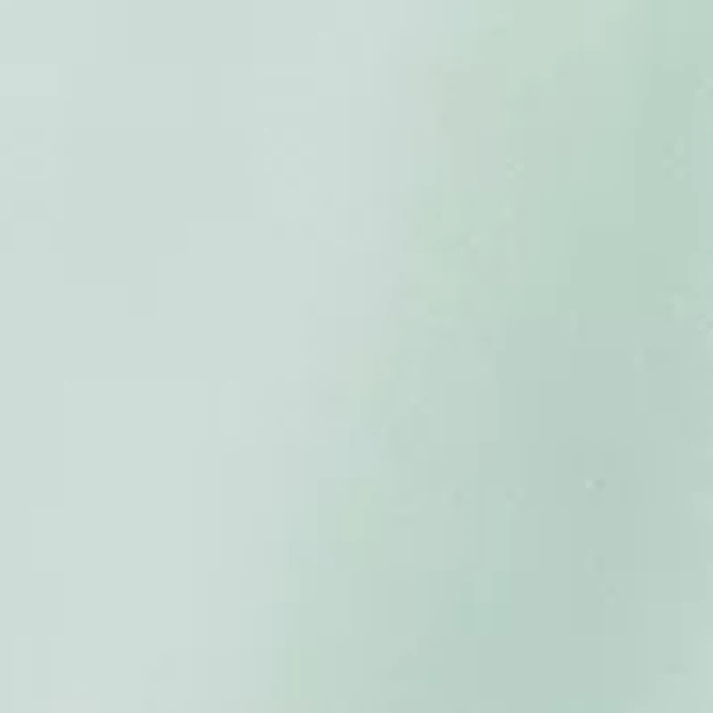 Plus Shawl Collar Open Front Jacket