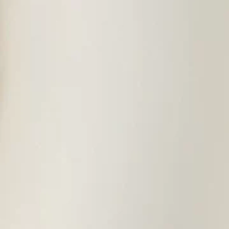 Petite One Button Notch Collar Jacket