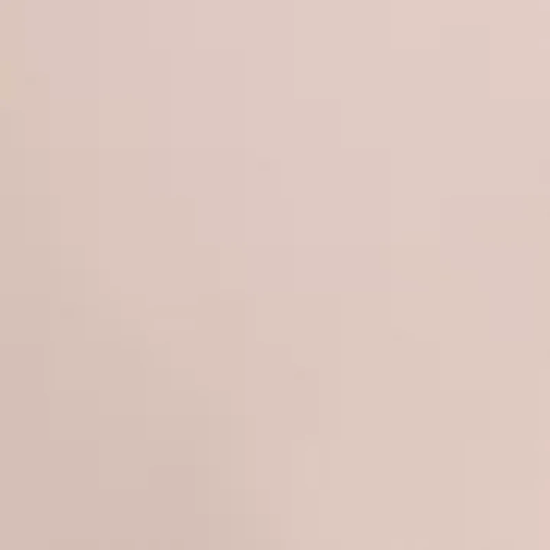 Petite Bias Flared Skirt with Lace Trim