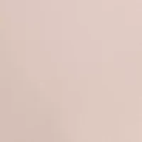 Petite Bias Flared Skirt with Lace Trim