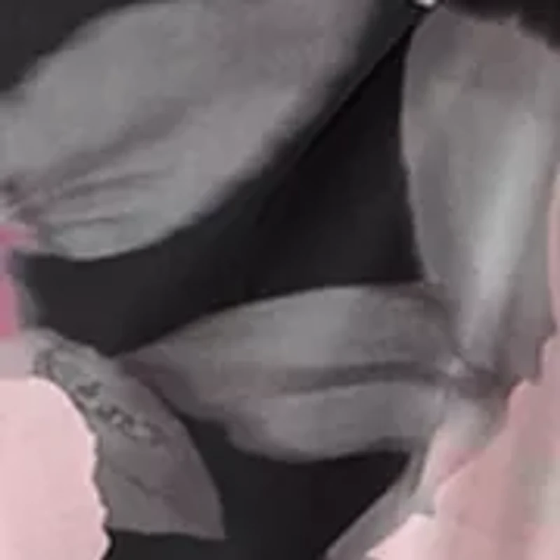 Petite Classic Printed Mesh Dress