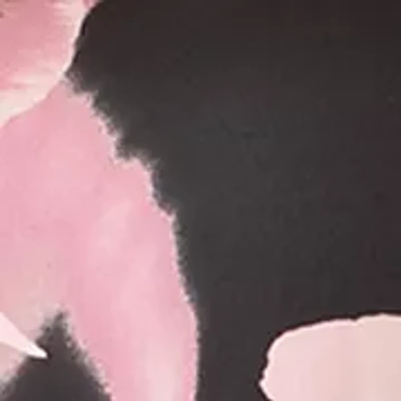 Women's Long Sleeve Blouse with Flare Cuffs