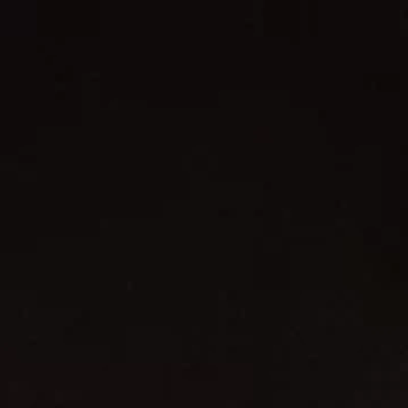 Petite Boat Neck Short Sleeve Printed Top