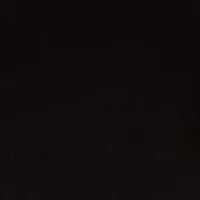 Petite Boat Neck Short Sleeve Printed Top