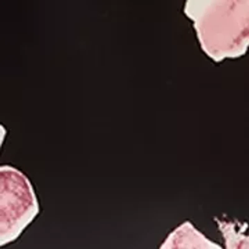 Women's Boat Neck Short Sleeve Printed Top