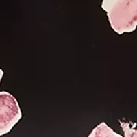 Women's Boat Neck Short Sleeve Printed Top