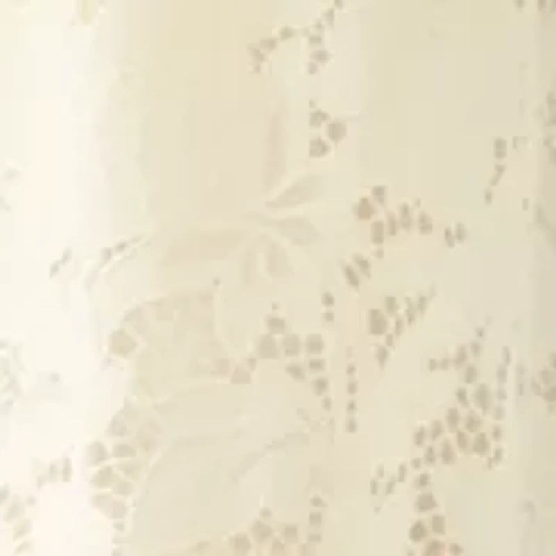 Petite Short Sleeve Lace Dress
