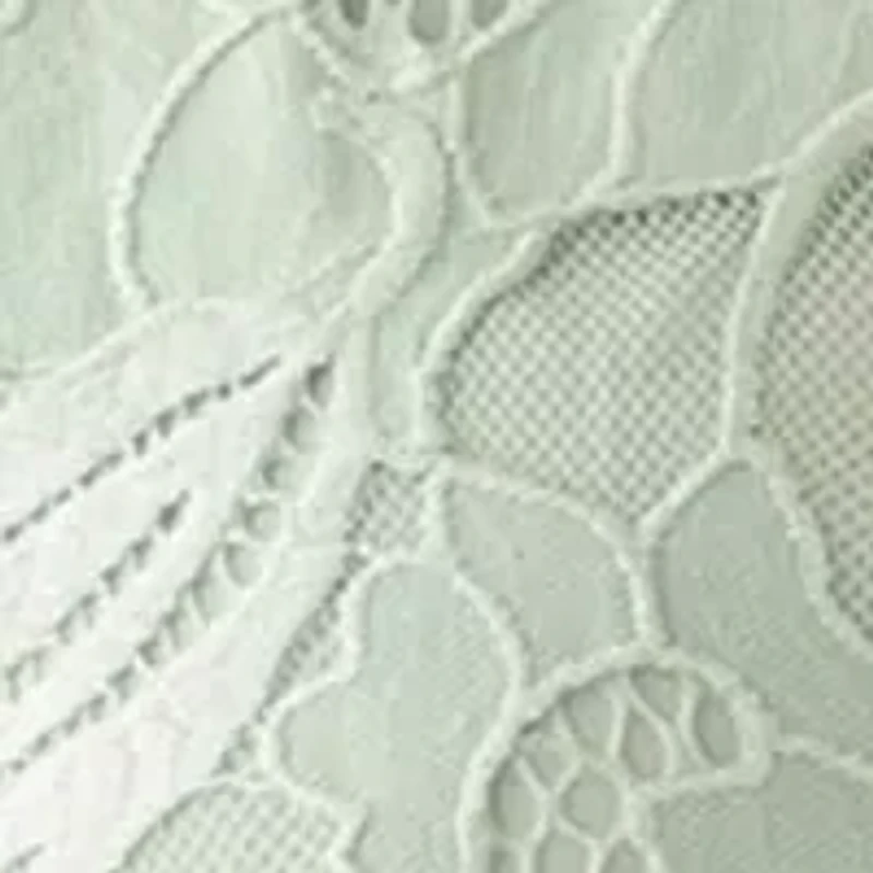 Petite Long Sleeve Button Down Lace Top