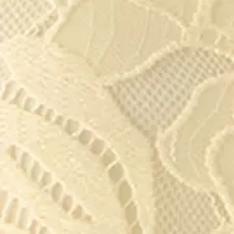 Petite Long Sleeve Blossom Lace Top