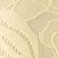 Petite Long Sleeve Blossom Lace Top