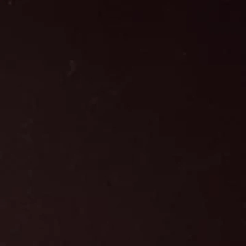 Women's Long Sleeve Deep Mahogany Multi Top with Tie Front