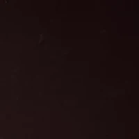 Women's Long Sleeve Deep Mahogany Multi Top with Tie Front