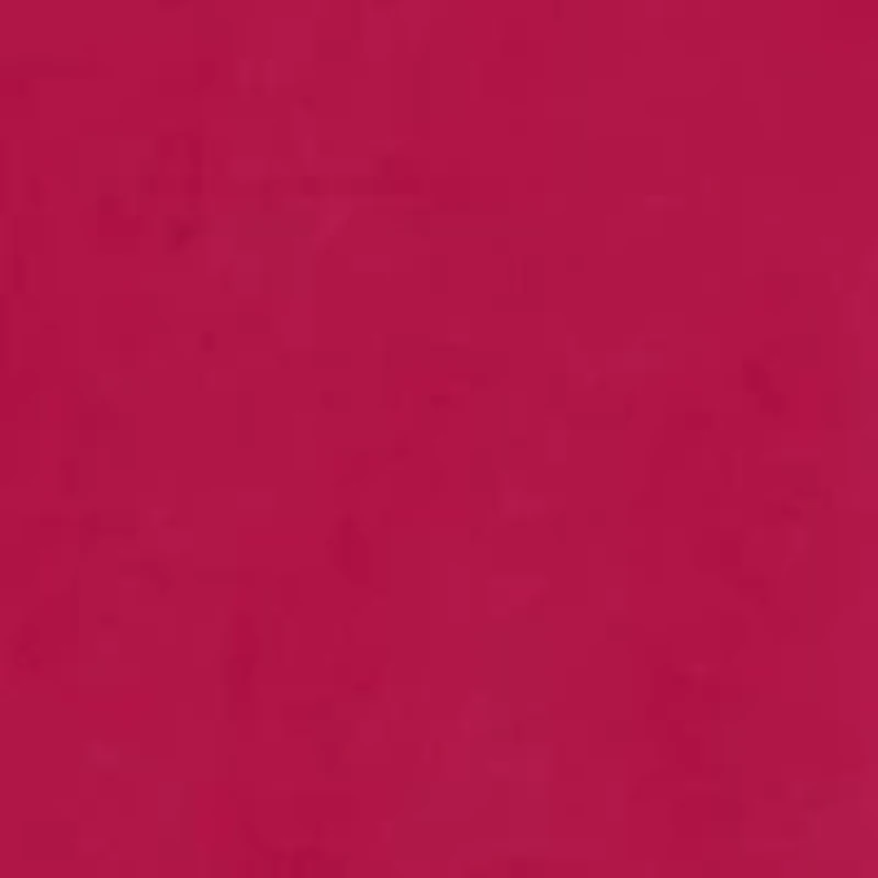 NCAA Arkansas Razorbacks Harlow Glitter Tee