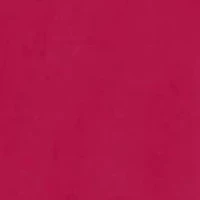 NCAA Arkansas Razorbacks Harlow Glitter Tee