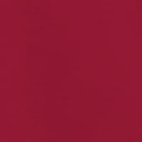 NCAA Arkansas Razorbacks Southlawn Victory Jersey