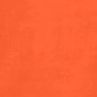 NCAA Clemson Tigers Bozeman Short Sleeve Graphic T-Shirt