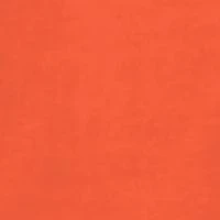 NCAA Clemson Tigers Harlow Short Sleeve Rounded Bottom Graphic T-Shirt