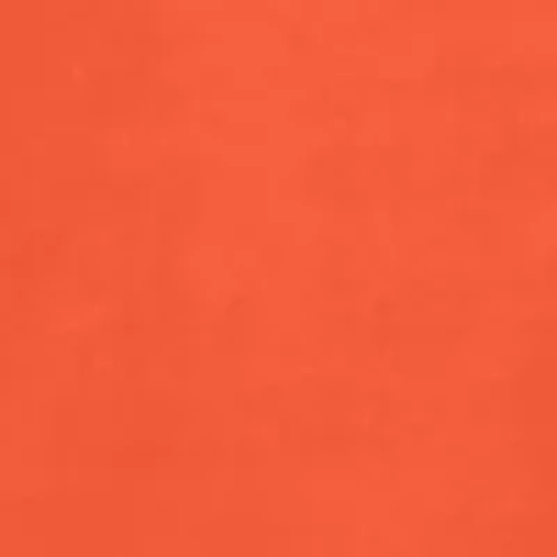 NCAA Clemson Tigers New Zealand Short Sleeve Rounded Bottom Graphic T-Shirt