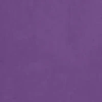 NCAA East Carolina Pirates Harlow Glitter T-Shirt