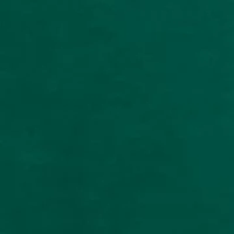 NCAA Florida A&M Rattlers Cavelli Janise Fleece Sweatshirt