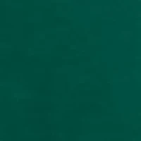 NCAA Florida A&M Rattlers Cavelli Janise Fleece Sweatshirt