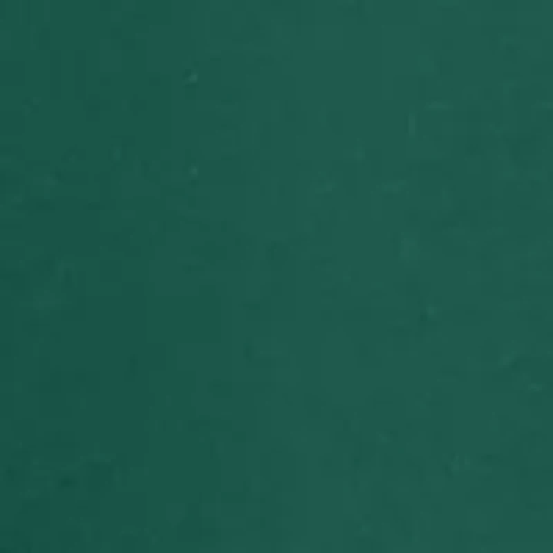 NCAA Florida A&M Rattlers Kaia Priscilla Quilted Fleece Sweatshirt