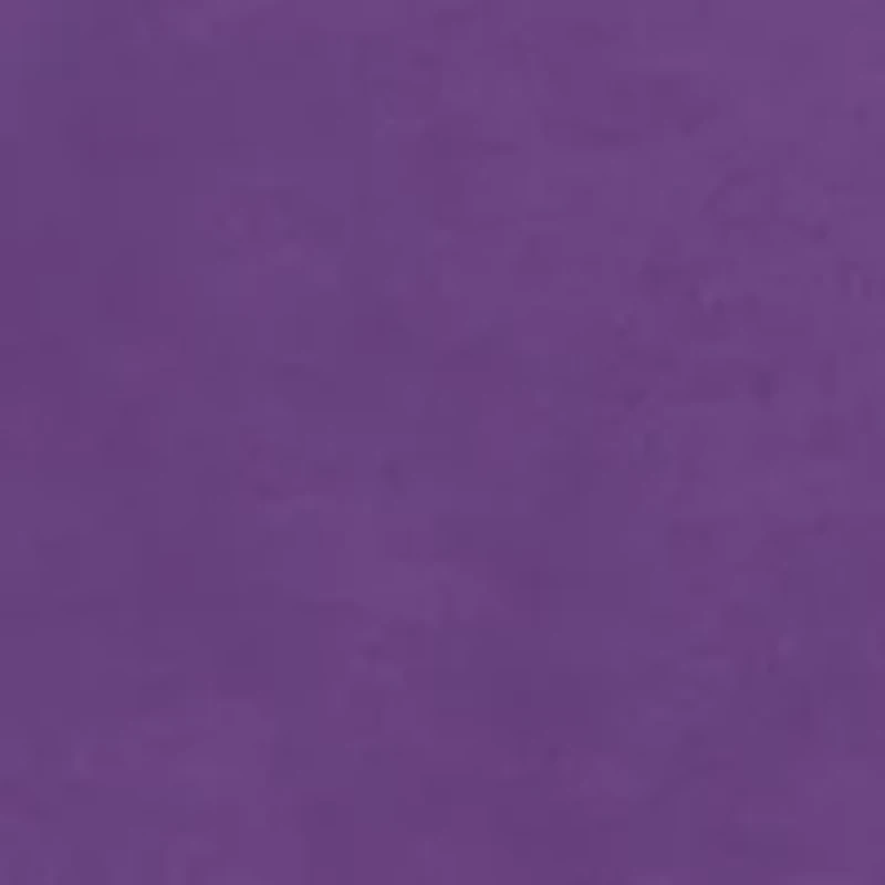 NCAA LSU Tigers Cavelli Janise Fleece Pullover