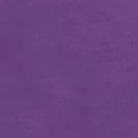 NCAA LSU Tigers Cavelli Janise Fleece Pullover