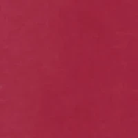 NCAA Alabama Crimson Tide Maxima Glitter Top