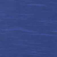 NCAA Florida Gators Captain Motley Crew Top