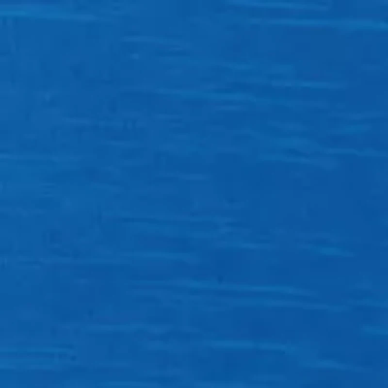 NCAA Kentucky Wildcats Capitan Motley Crew Top