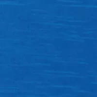 NCAA Kentucky Wildcats Capitan Motley Crew Top