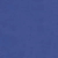 NCAA Kentucky Wildcats Harlow Glitter T-Shirt