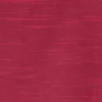 NCAA South Carolina Gamecocks Capitan Motley Crew Top