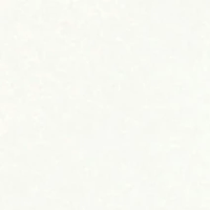 Women's Softwear Lace Edge Short Sleeve V-Neck Top