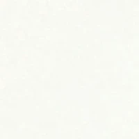 Women's Softwear Lace Edge Short Sleeve V-Neck Top