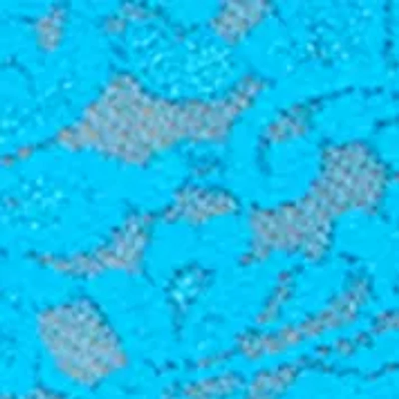 Signature Lace Original Rise Thong