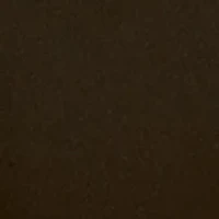 Dream TENCEL™ Modal Original Rise Thong