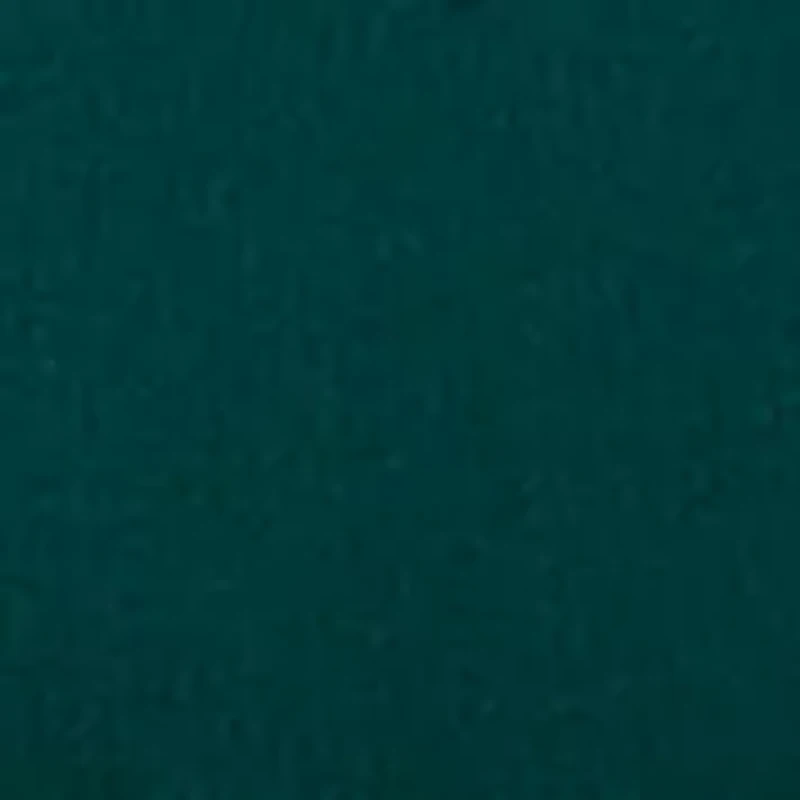 Dream TENCEL™ Modal Original Rise Thong