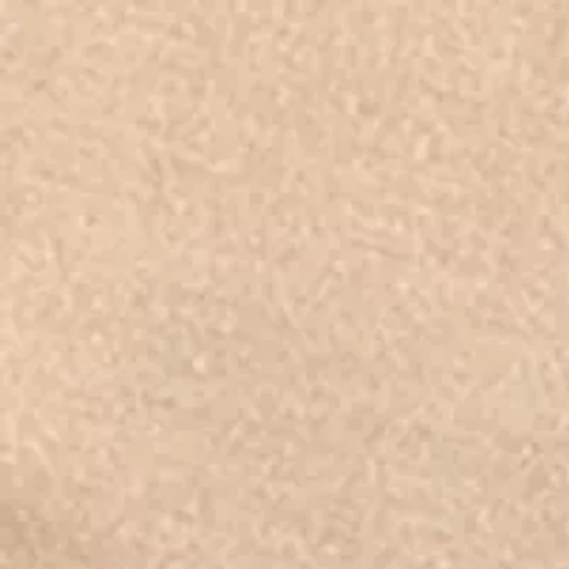 Dream TENCEL™ Modal Boyshorts