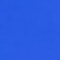 Breathe Godiva Hi-Rise Thong